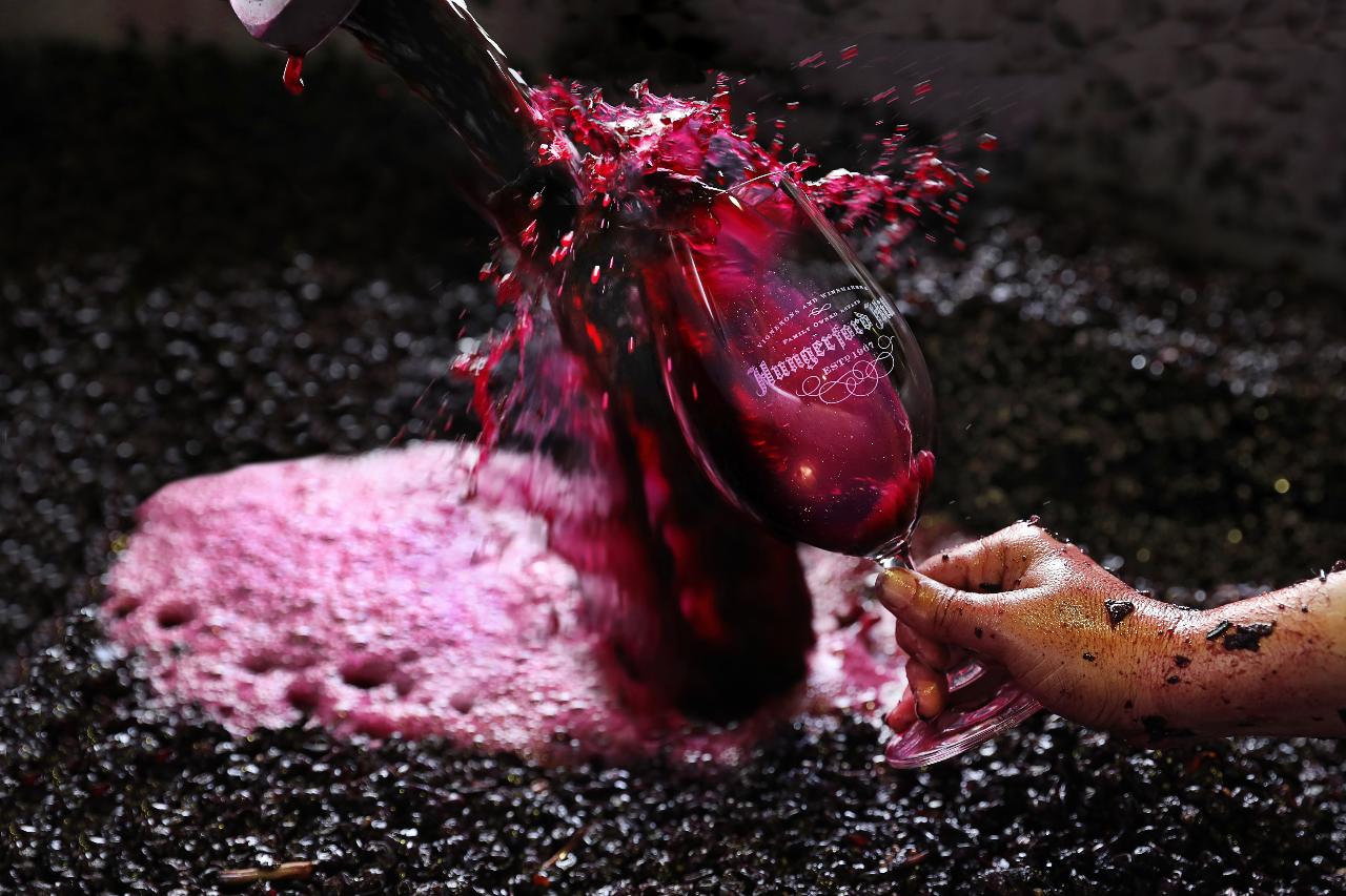 Wine Tasting At Hungerford Hill