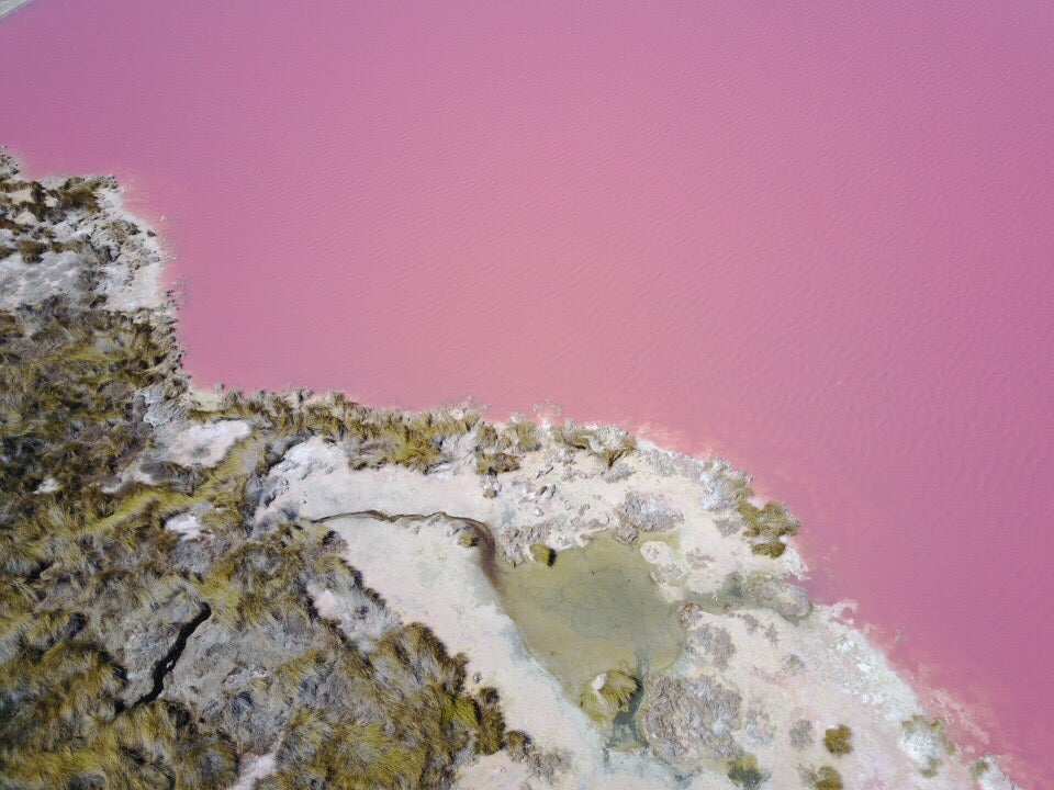 Pink Lake Buggy Tour