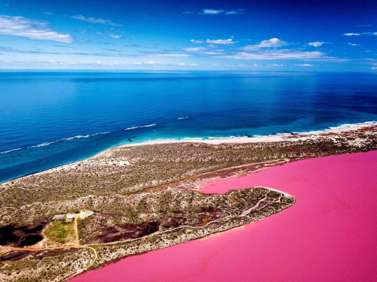 Pink Lake Buggy Tour