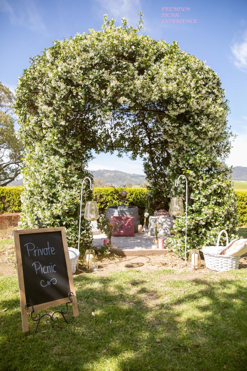 Picnic Among The Vines