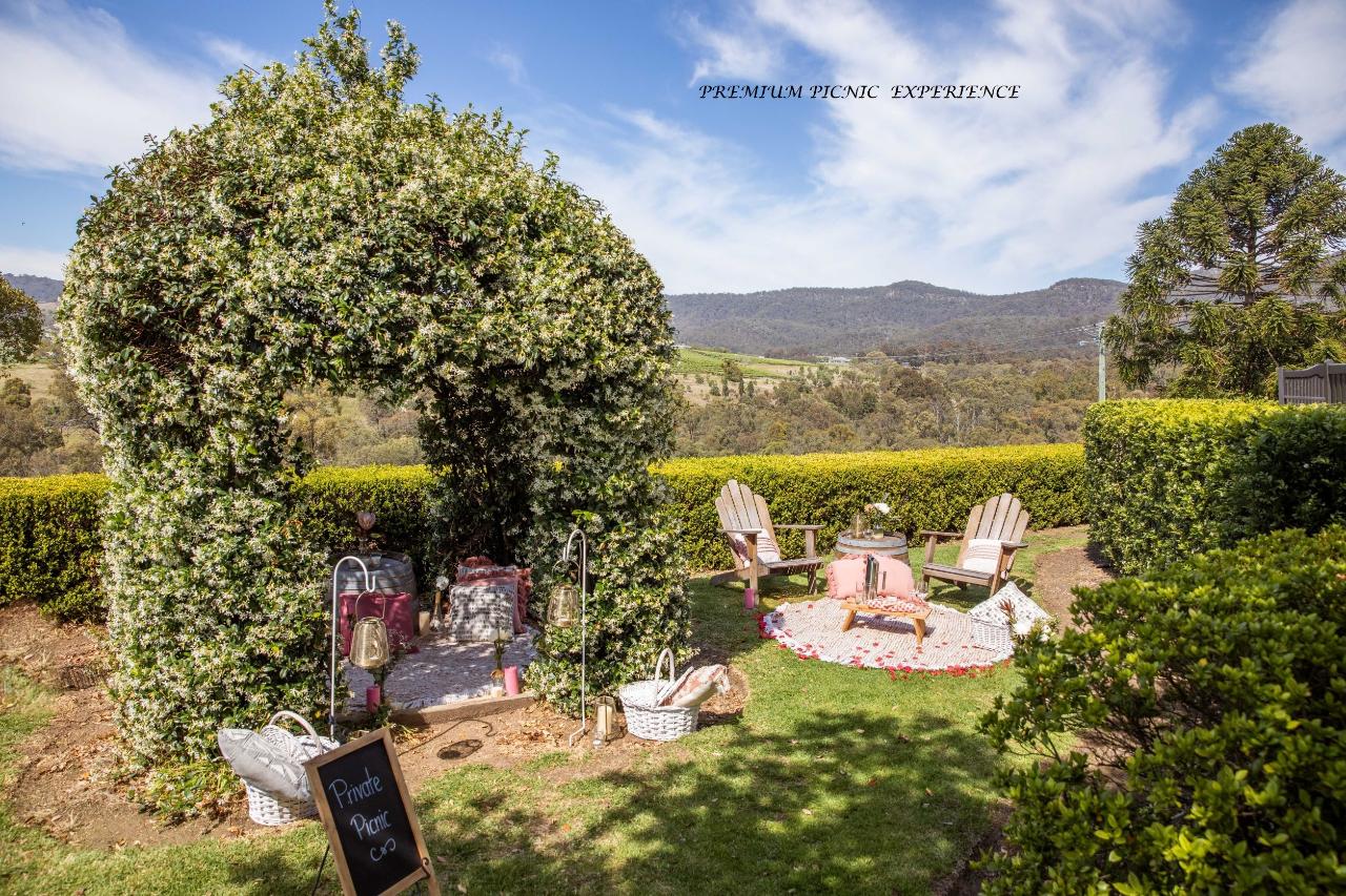 Picnic Among The Vines
