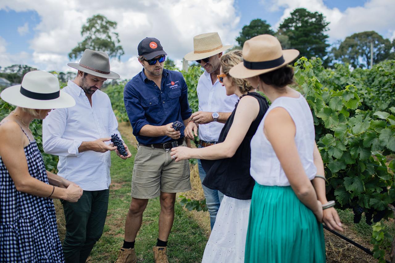 Sparkling Masterclass With 5-Course Lunch & Vineyard Tour