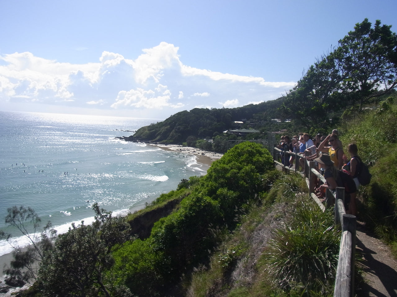 Half Day Out Byron Bay Tour