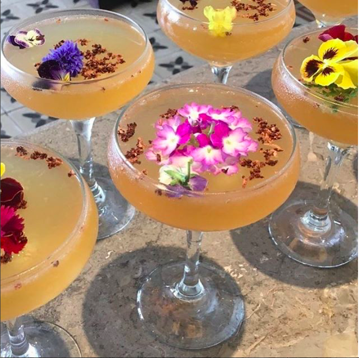 Ultimate Gourmet Tasting Experience - Northern Rivers Nsw