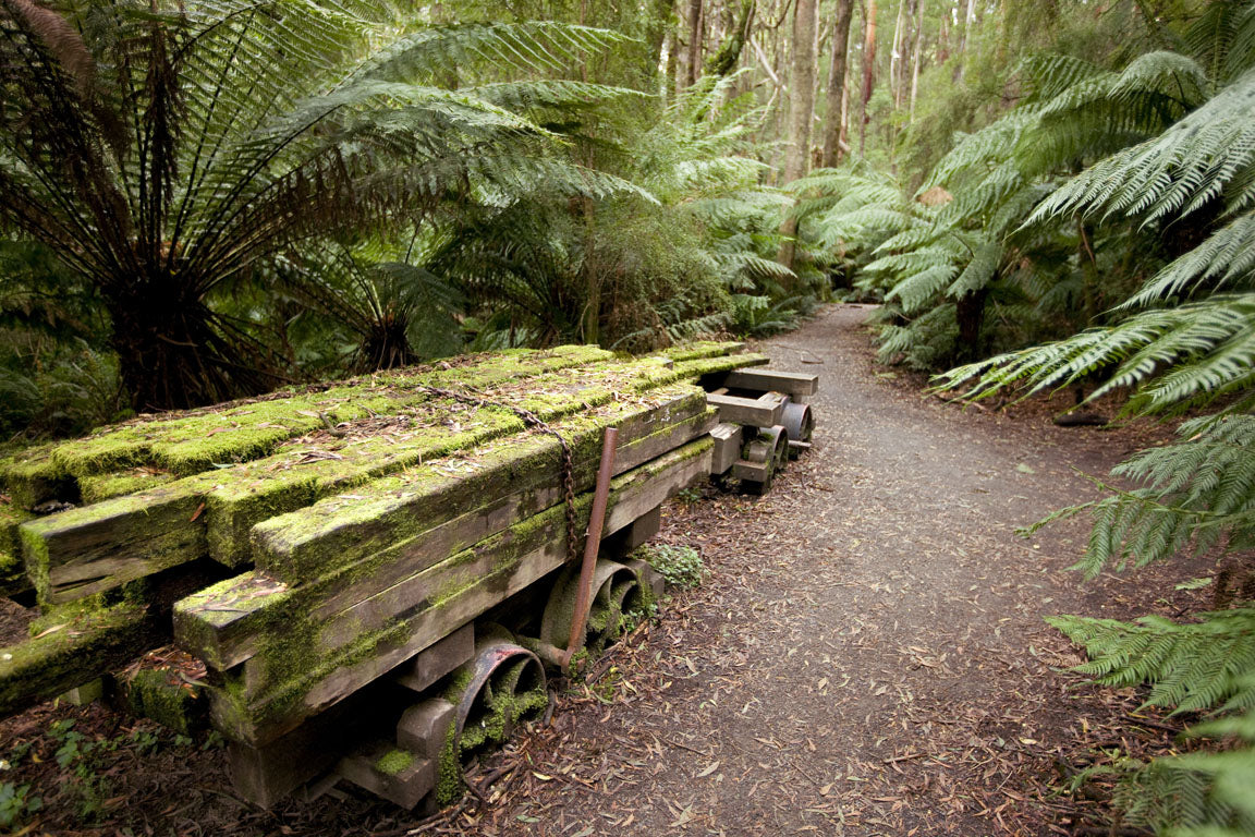 Private 4 Day Great Ocean Road, Grampians And Goldfields