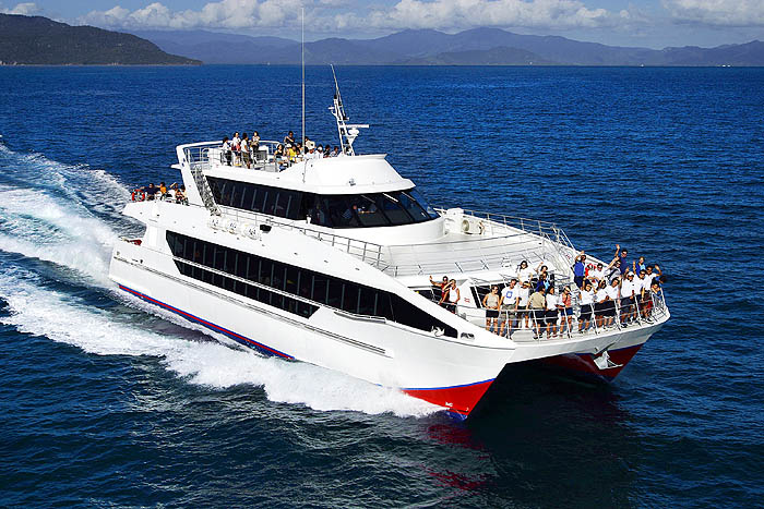 Whale Watching Adventure