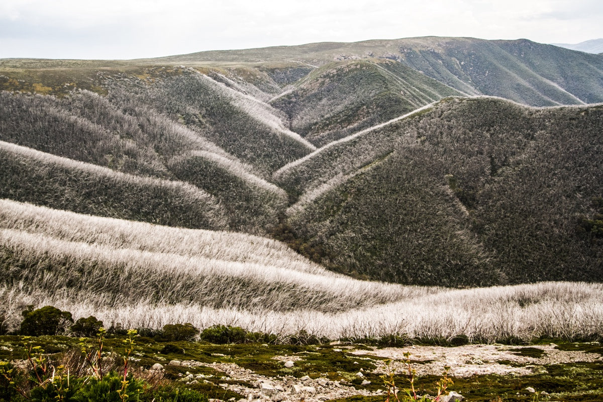 History Of The High Plains: 5-Day Tour