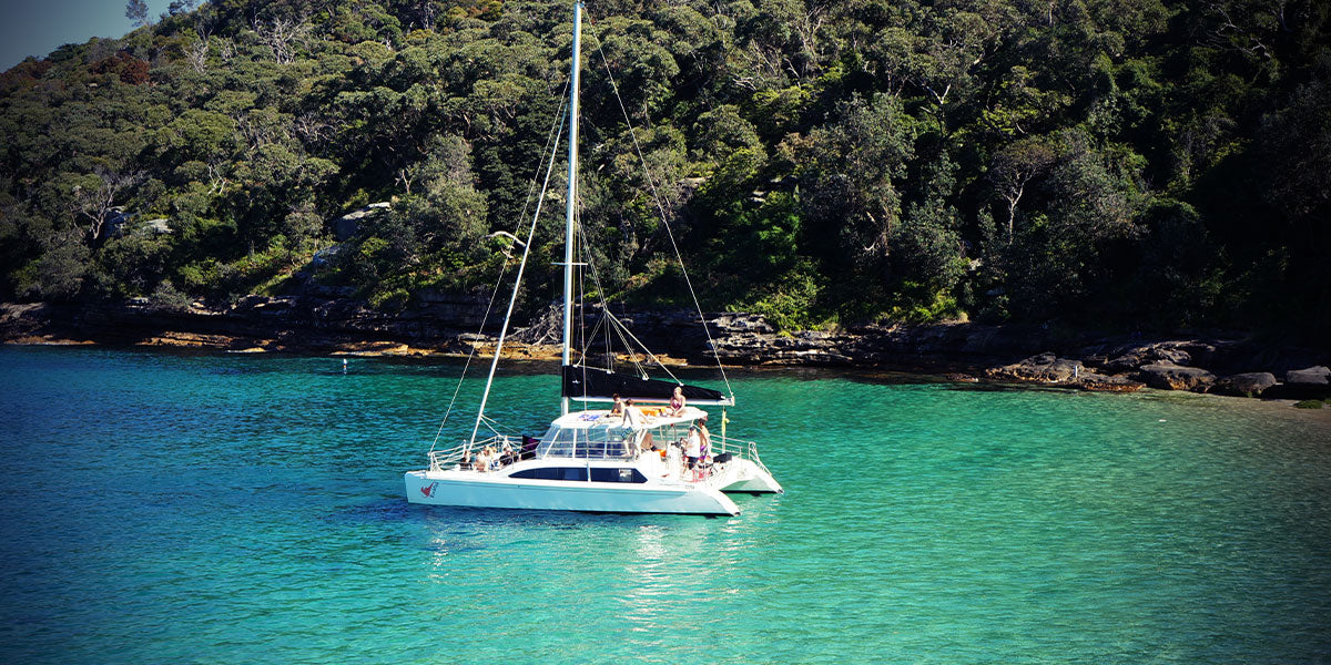 Discovery Wine Tour At Tamar Valley