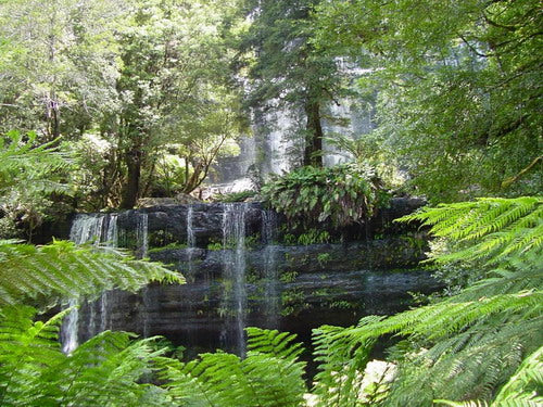 6-Day Hearty Tasmania Tour