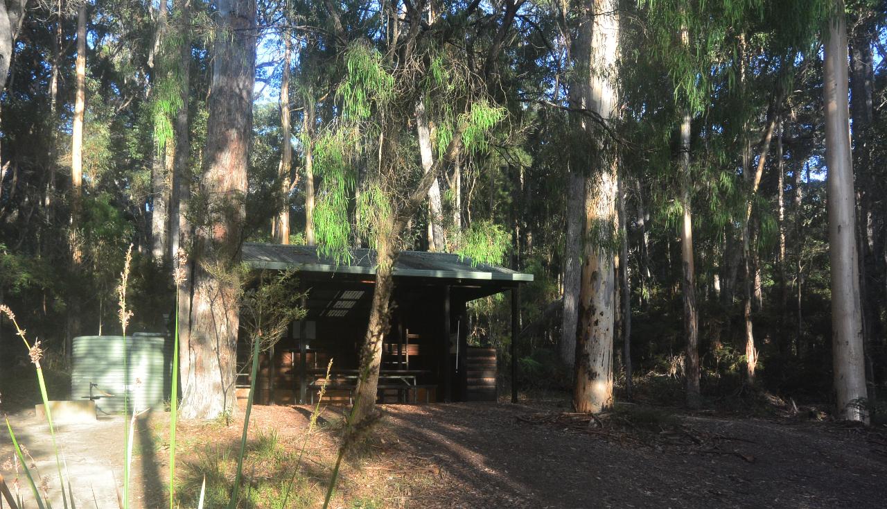 Bibbulmun Multi-Day Hike - Pemberton - Northcliffe