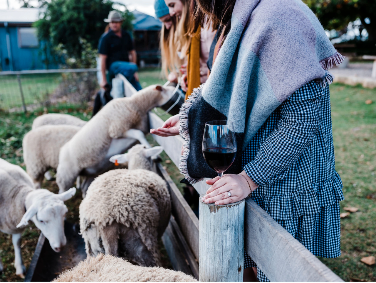 Forage On The Farm & Vino In The Vines