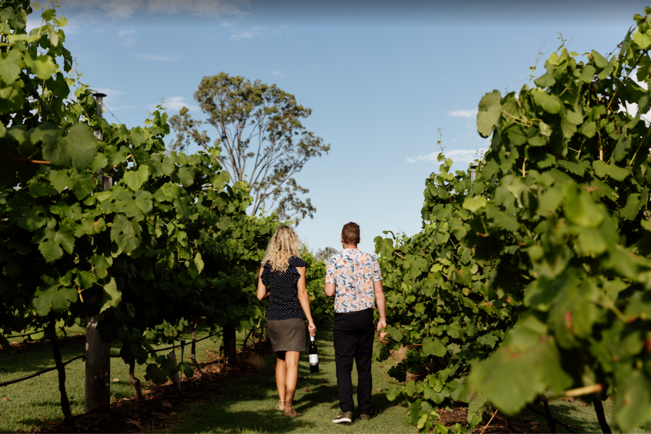 The Ultimate Gourmet Tasting Experience - Sunshine Coast