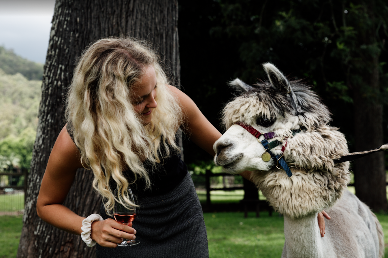 The Ultimate Gourmet Tasting Experience - Sunshine Coast