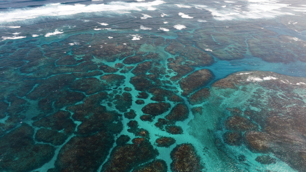 Abrolhos Islands Scenic Flyover With Tea