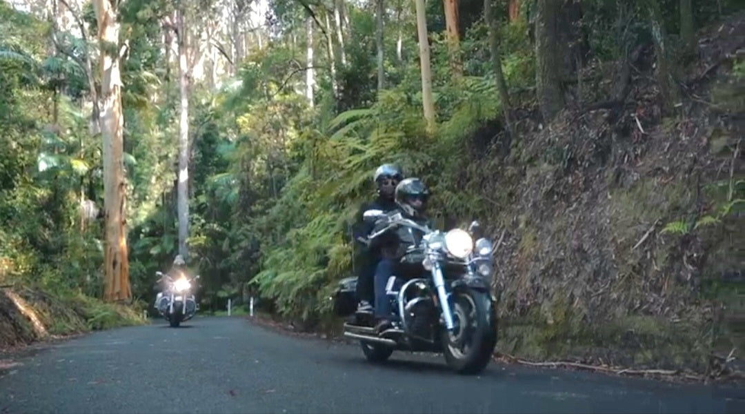 Minyon Falls Chauffered Scenic Ride