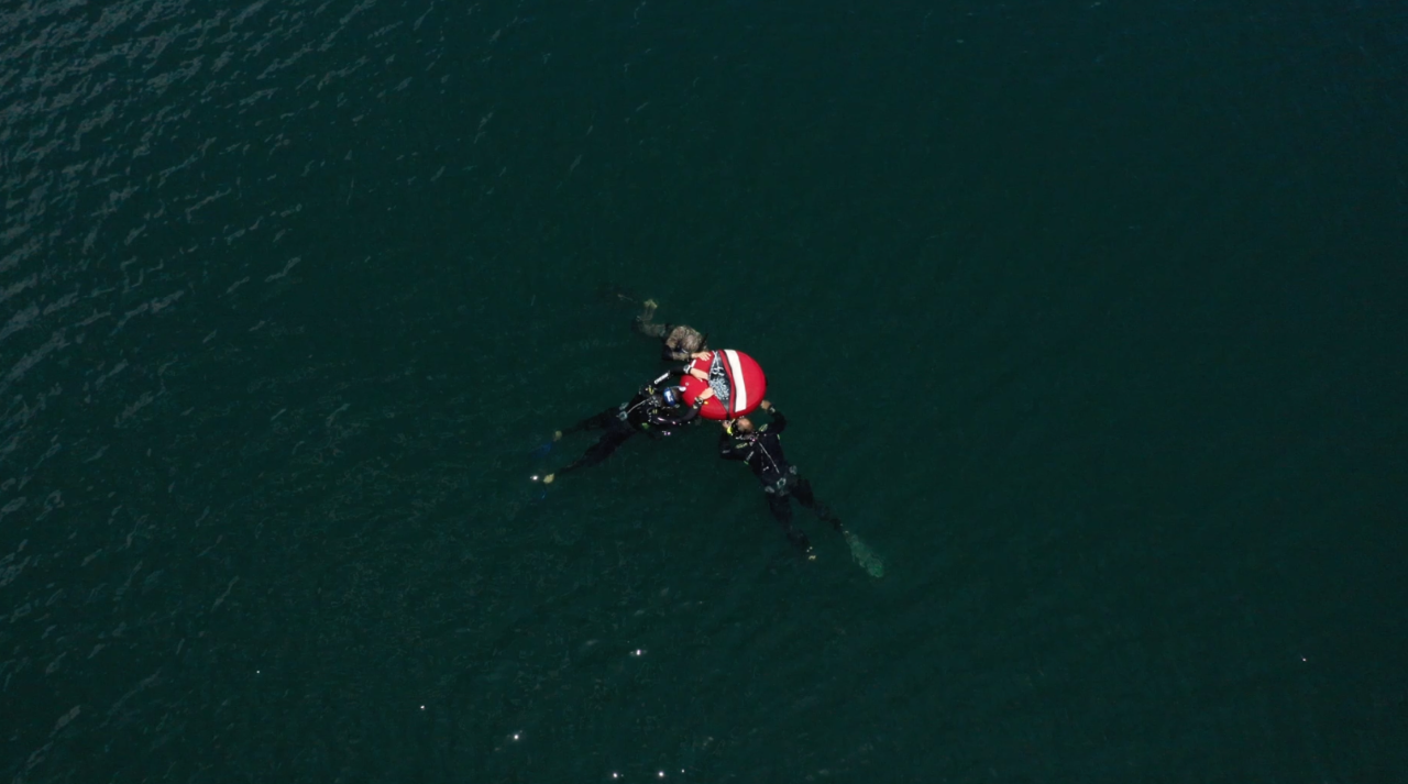 Freediving Level 1 Course - Volcanic Crater Lake