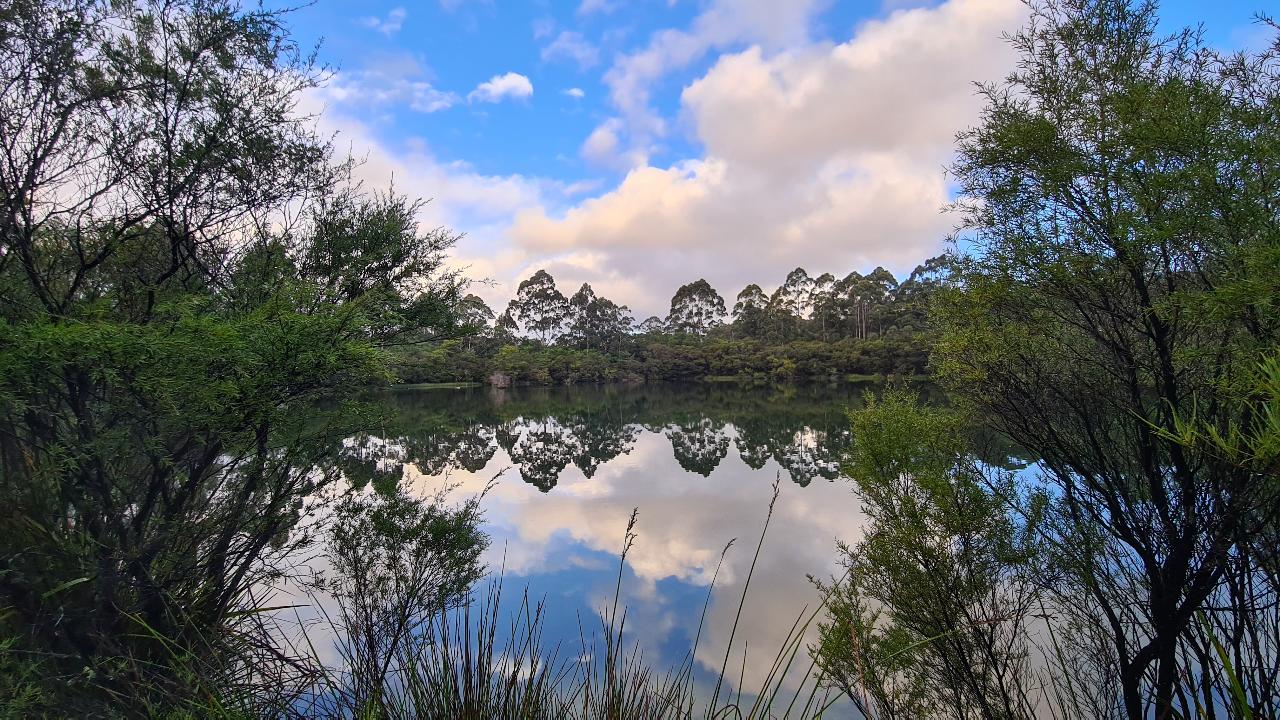 Bibbulmun Multi-Day Hike - Pemberton - Northcliffe