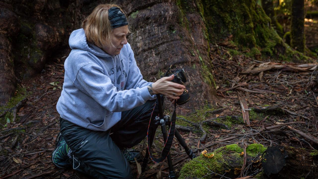 Mt Field National Park - Premium Private Photo-Oriented Day Tour