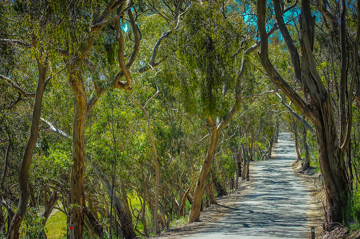 Clare Uncorked Private