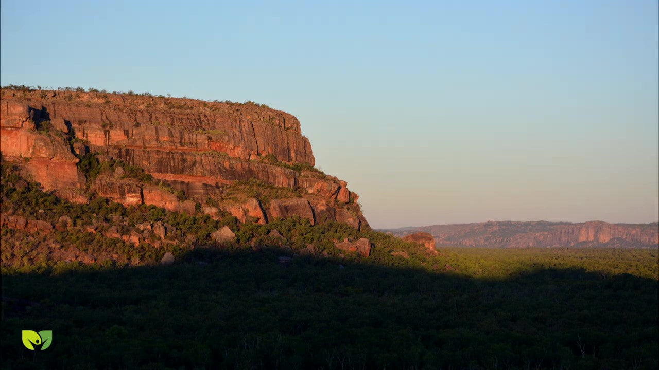 Best In The Wet - 3 Day Litchfield & Kakadu