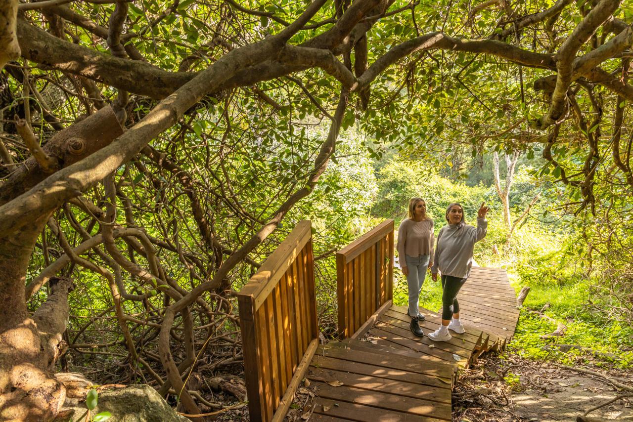 Self Guided E-Bike Tour - Pedal To Produce Series - Narooma To Dromedary Hotel