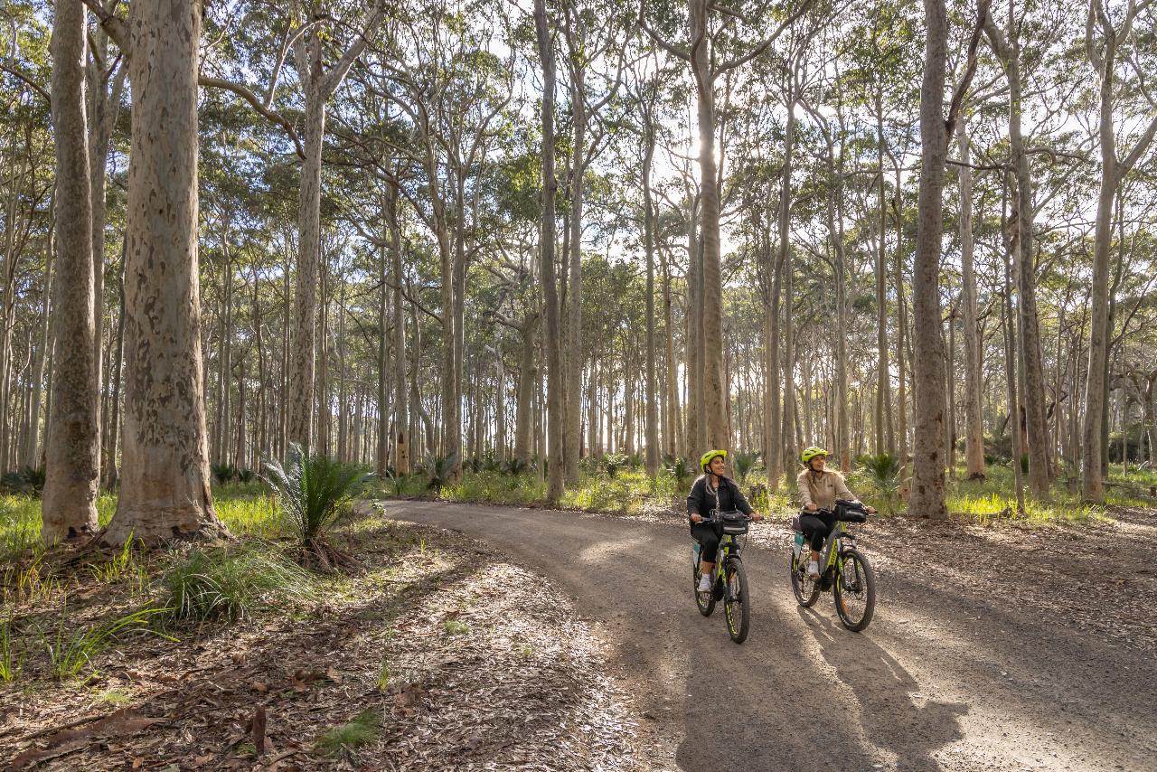 Self Guided E-Bike Tour - Pedal To Produce Series - Narooma To Tilba Valley Winery & Ale House