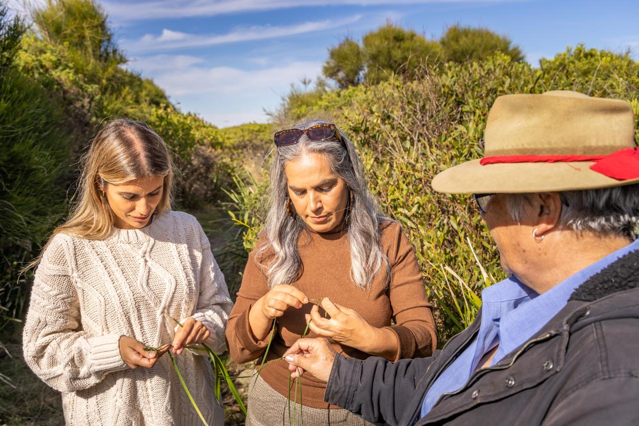 Connect To Country - Bush Food And Bush Medicine Walk On The Bingi Dreaming Track With Elder Patrici
