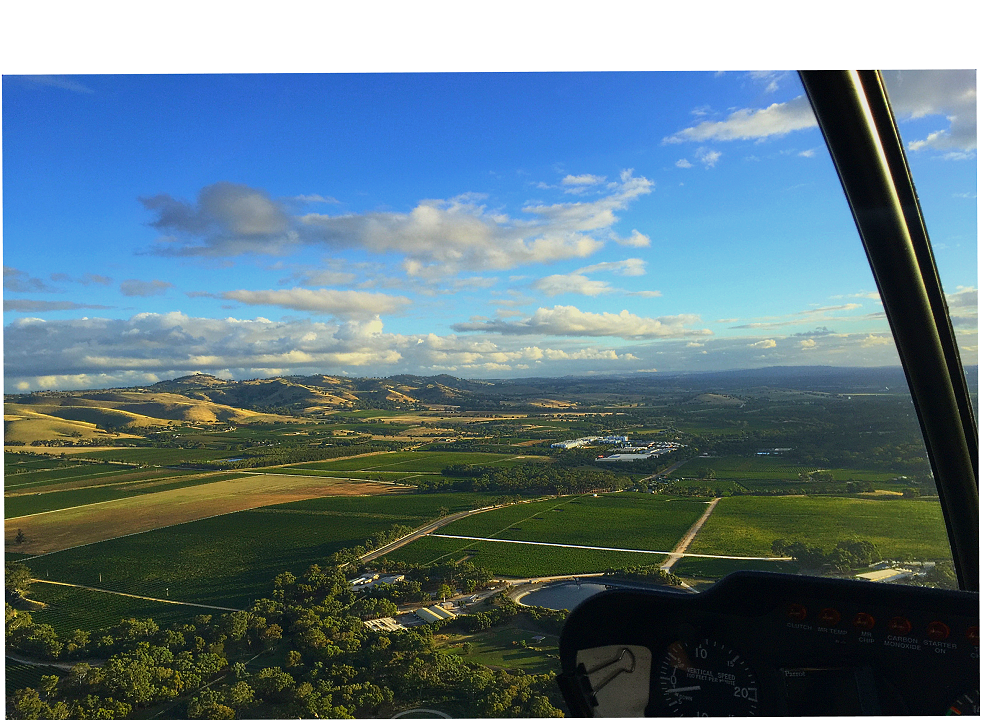 Private Barossa Valley Deluxe - 30 Minute Scenic Flight