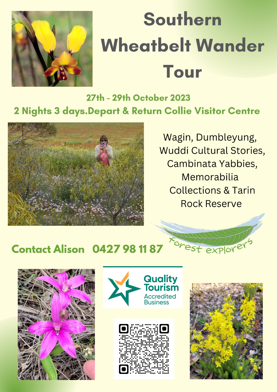 Southern Wheatbelt Wander Two Nights & Three Days