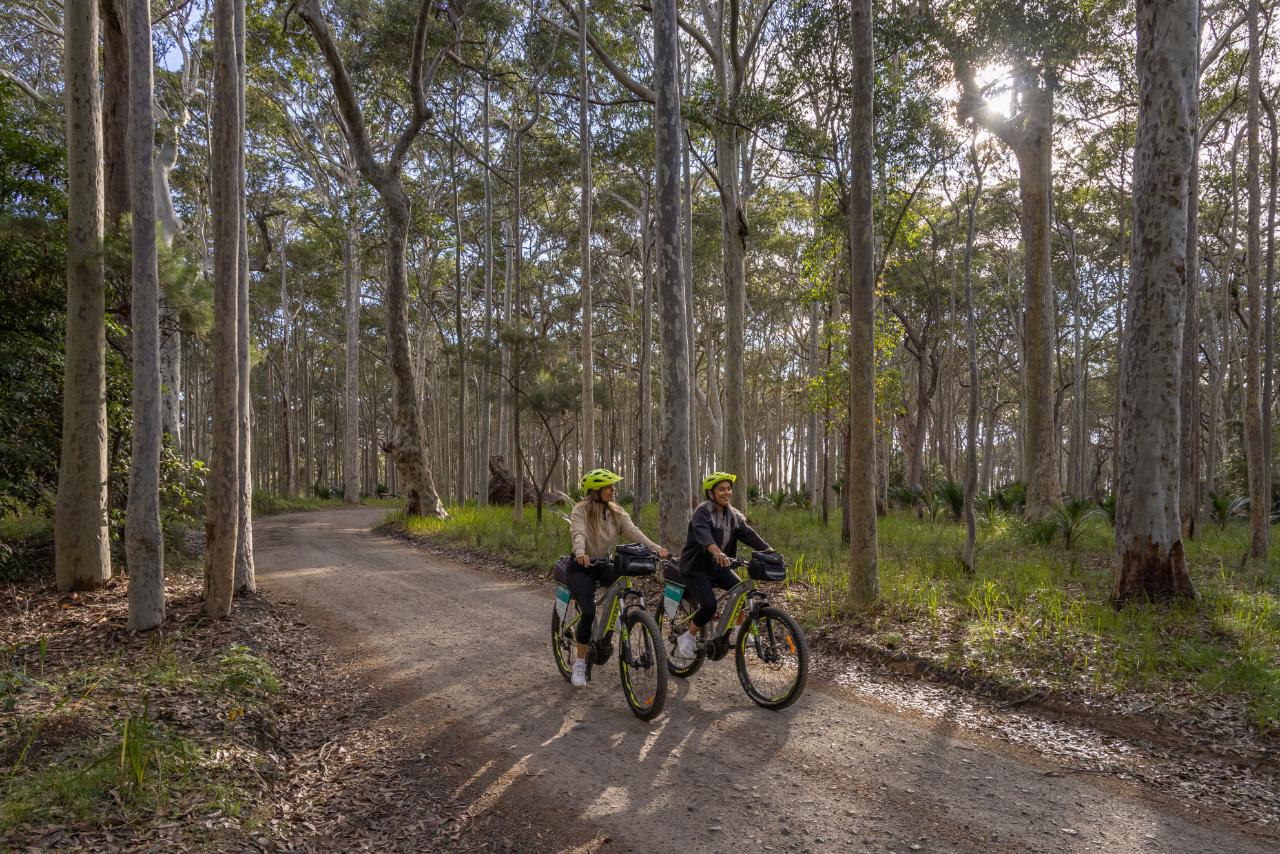 Self Guided E-Bike Tour - Pedal To Produce Series - Narooma To Tilba Valley Winery & Ale House