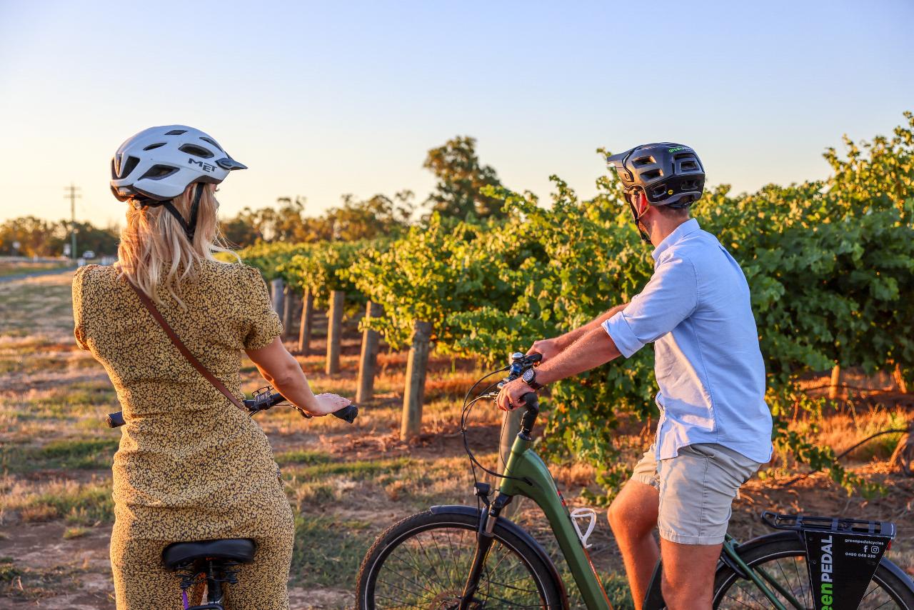 Bike To Winery - Guided E-Bike Tour