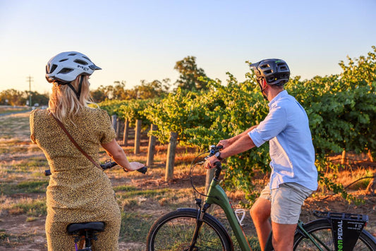 Bike To Winery - Guided E-Bike Tour