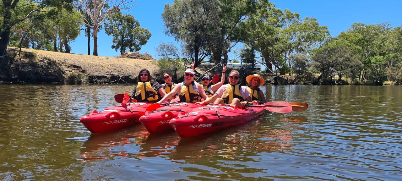 Swan River: Kayak, Wine & Dine Experience