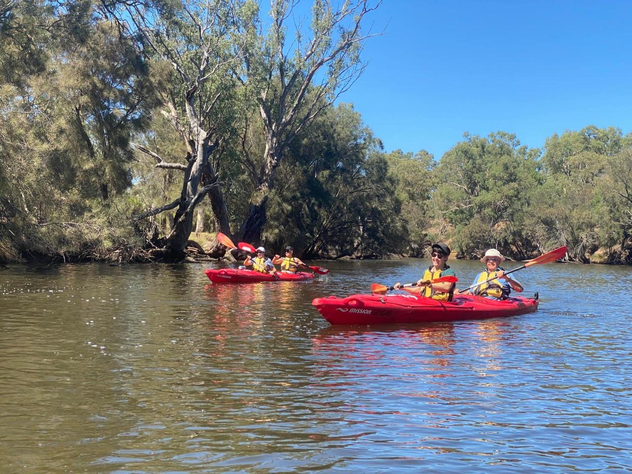 Swan River: Kayak, Wine & Dine Experience