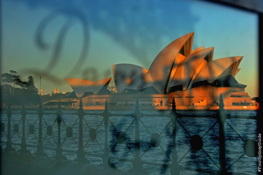 Sydney City 6 Hour Private Tour