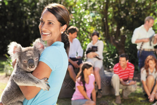 Croc Tours Koala Cuddle Adventure