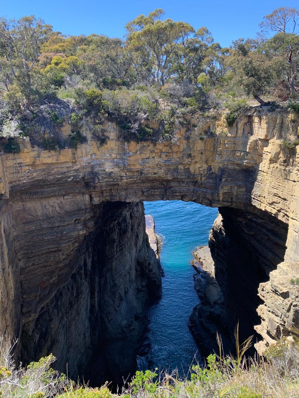 Tasman Peninsula Walking Experience