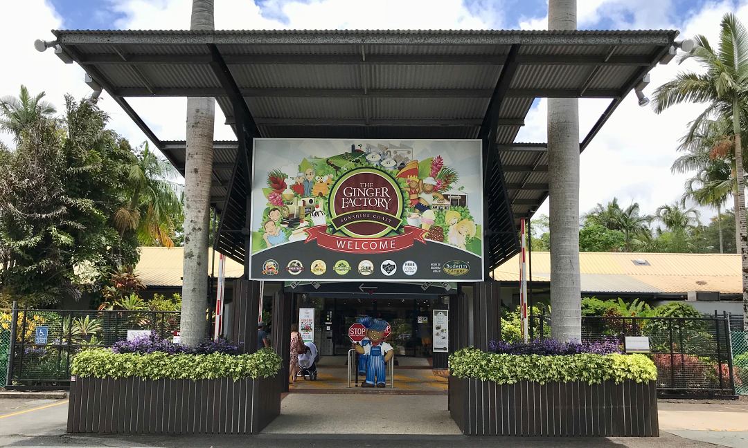 Montville Day Tour: Ginger Factory, Rainforest & Views