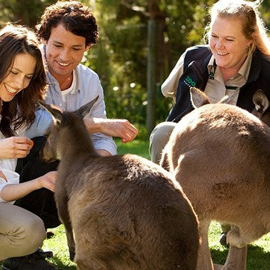 Deluxe Safari Adventure & General Entry For 2 Adults & 1 Child