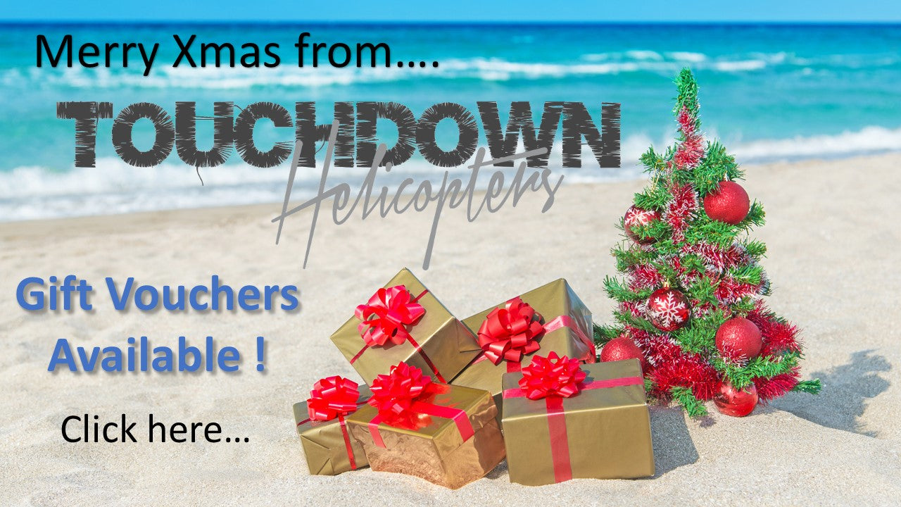 30 Minute Trial Introductory Flight