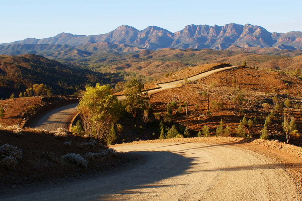 Wallabies, Rocks And Copper