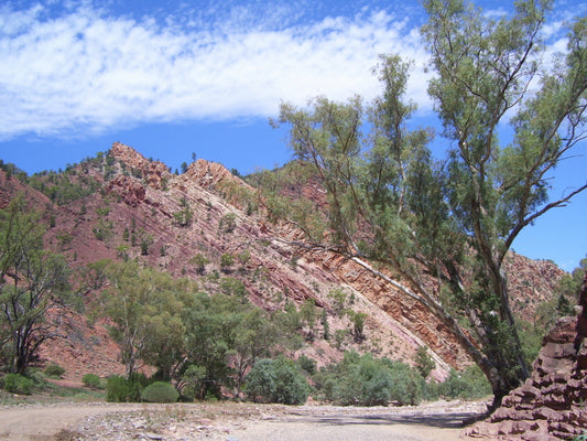 Bunyeroo & Brachina Gorges