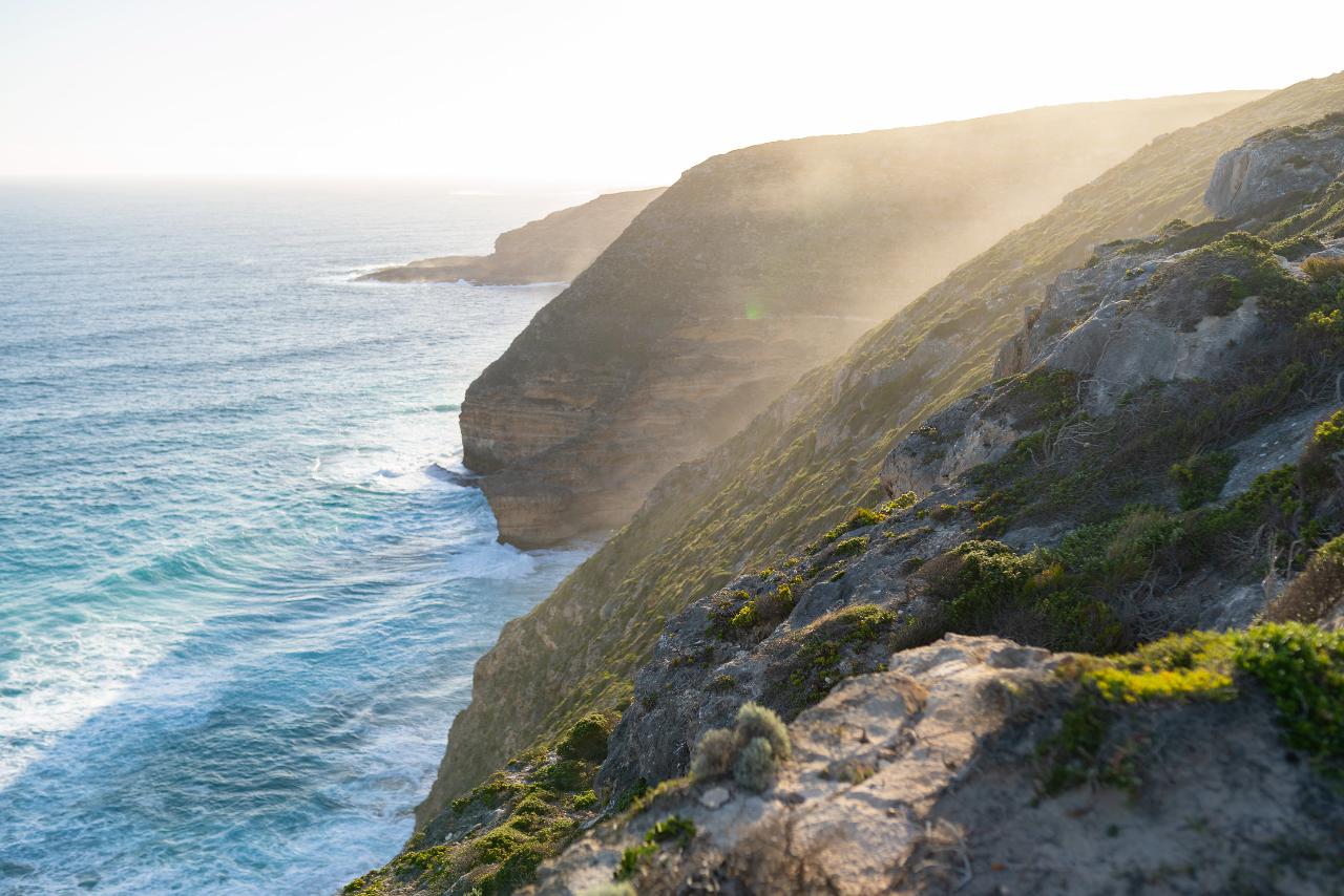 Port Lincoln - Wildlife, Sightseeing & 4Wd Tour