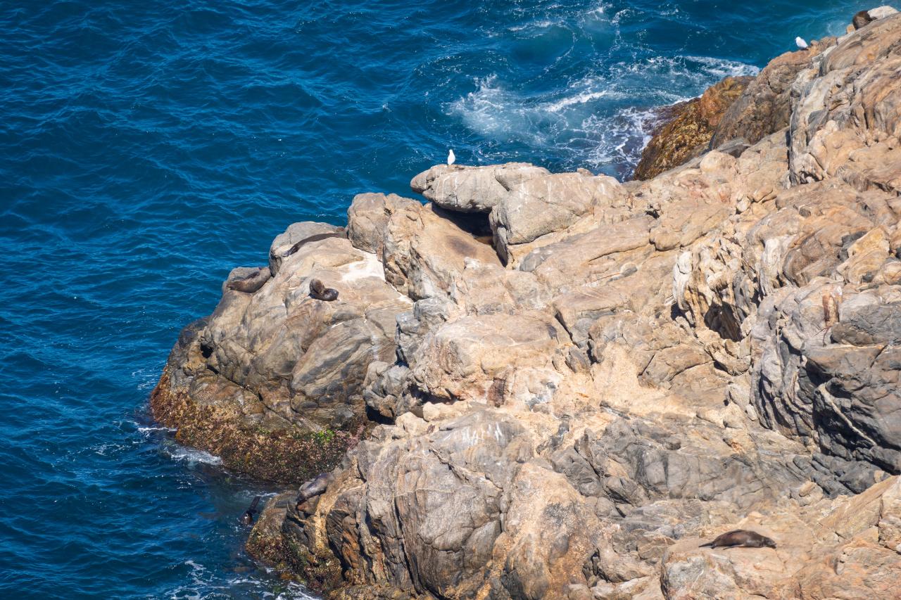Port Lincoln Whalers Way Sightseeing Tour