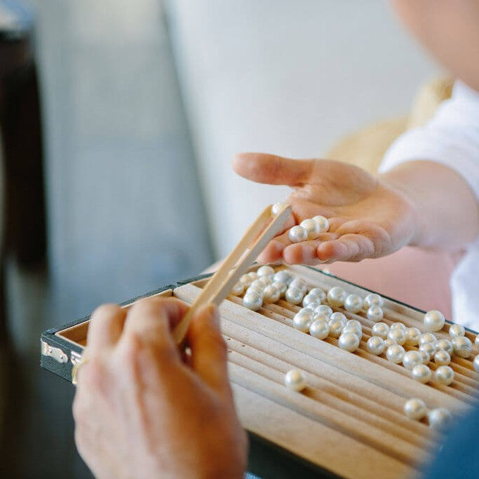 Broken Bay Pearl Farm Tour 