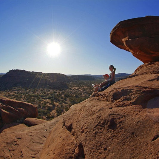 1 Day Palm Valley Tour