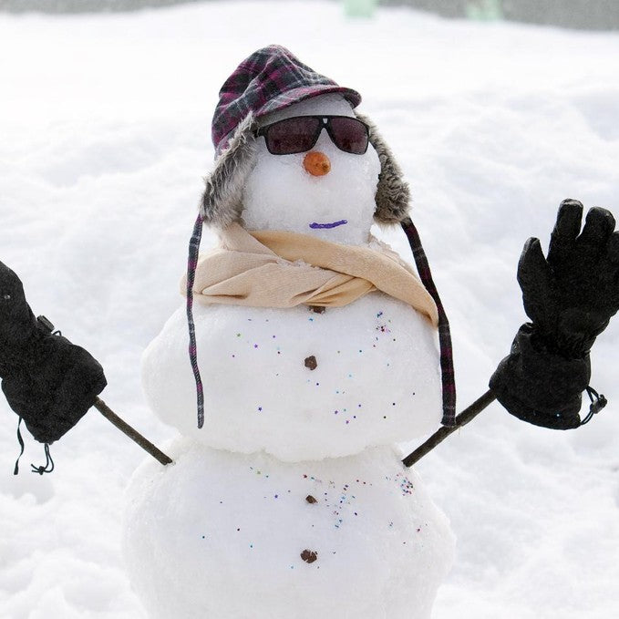 Wildlife Tours Australia: Lake Mountain Snow + Chocolates Tour