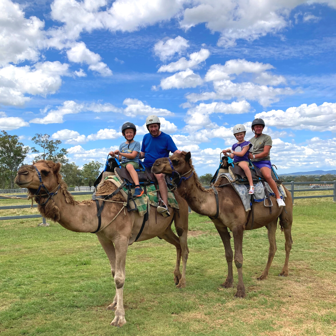 Camel Trail Ride