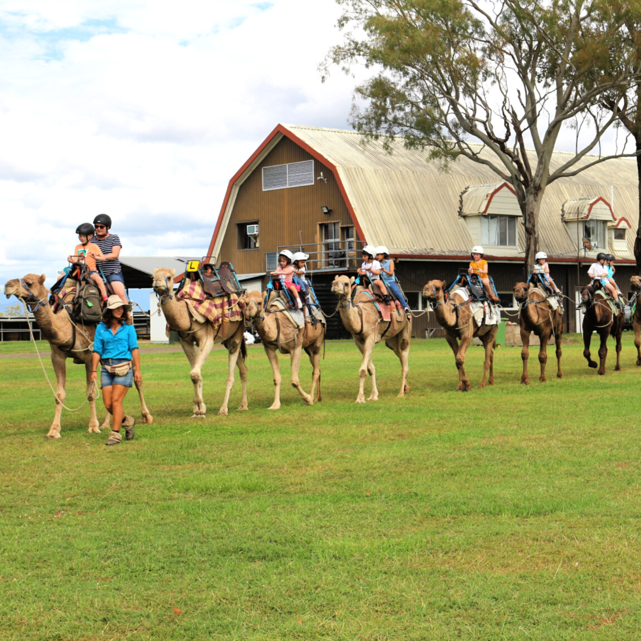 Camel Trail Ride