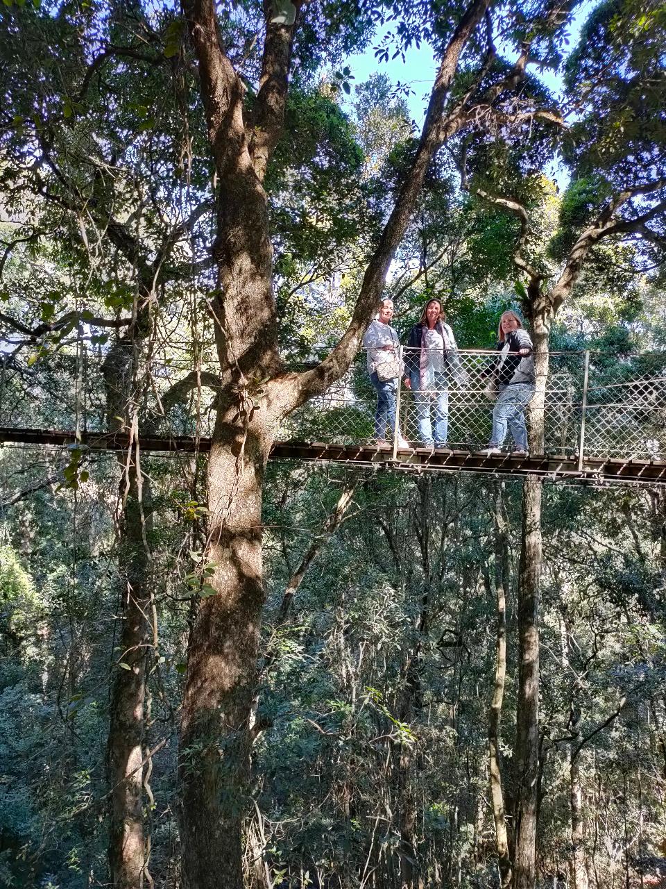 Lamington National Park, O'Reilly's & Vineyard Tour